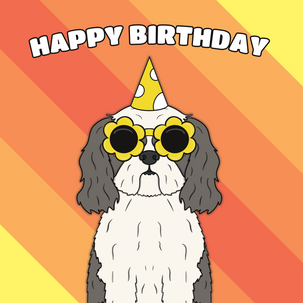 Shih Tzu Dog Birthday - 1