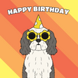 Shih Tzu Dog Birthday - 1