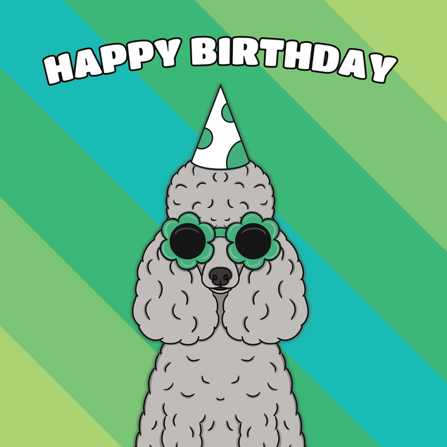 Poodle Dog Birthday - 1