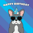 French Bulldog Birthday - 1