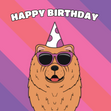 Chow Chow Dog Birthday - 1