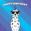 Dalmatian Dog Birthday - 1