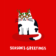  Cat in Glasses Christmas Card - 1