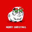 Guinea Pig in Glasses Christmas Card - 1