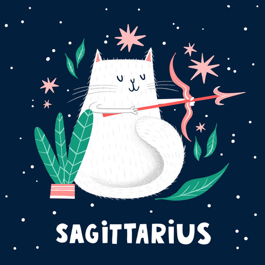 Furry Cat Sagittarius Star Sign Birthday Card