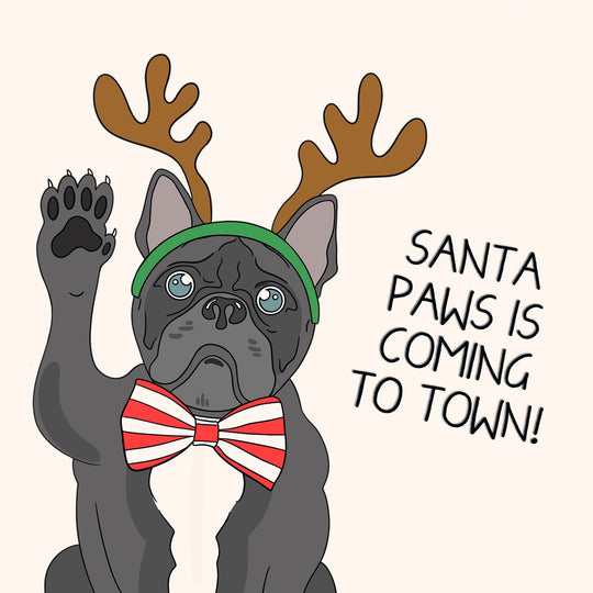 Santa Paws Frenchie Christmas Card