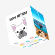 Cute White Frenchie Happy Birthday Confetti-exploding Greetings Card