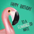 Flamingo Good Mate Card Pool Vibes - 1