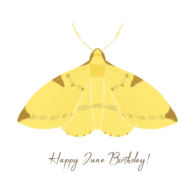 Happy June Birthday Butterfly Confetti-exploding Greetings Card