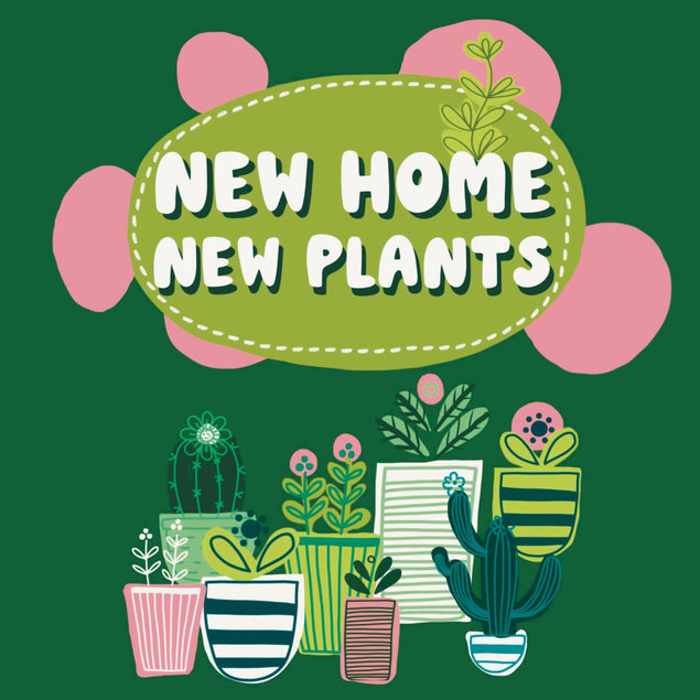 New Home New Plants Confetti-exploding Greetings Card