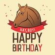 Hay Boy Happy Birthday Horse Confetti-exploding Greetings Card