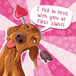 I Fell In Love With You At First Sight Funny Dachshund Valentine's Day Confetti-exploding Greetings Card