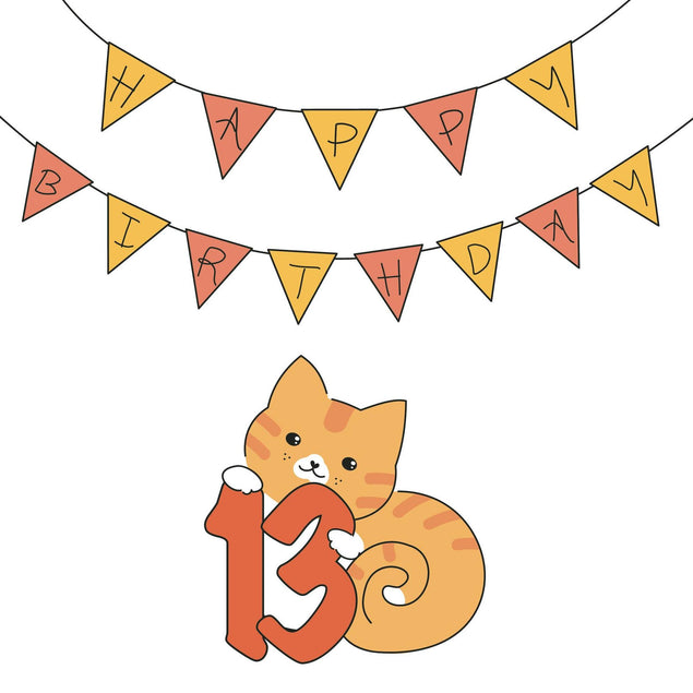Birthday Cat 13 Confetti-exploding Greetings Card