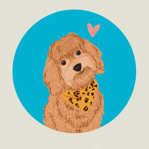 Cockapoo Confetti-exploding Greetings Card