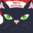 Merry Christmas Black Cat Confetti-exploding Greetings Card