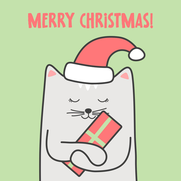 Merry Christmas Happy Cat With Gift Confetti-exploding Greetings Card