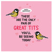 Happy Anniversary Pair Of Great Tits Confetti-exploding Greetings Card