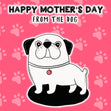 Happy Mother's Day From The Dog Red Confetti-exploding Greetings Card
