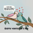 Bird Couple Happy Valentine's Day Confetti-exploding Greetings Card