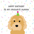 Happy Birthday To My Favourite Human Lagotto Romagnolo Confetti-exploding Greetings Card