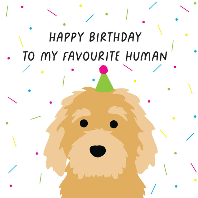 Happy Birthday To My Favourite Human Lagotto Romagnolo Confetti-exploding Greetings Card