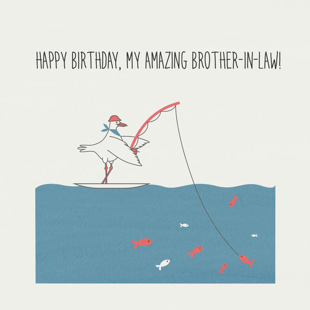 Fishing Seagull Happy Birthday Brother-in-low Confetti-exploding Greetings Card
