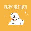 Happy Birthday Funny White Cockapoo Confetti-exploding Greetings Card