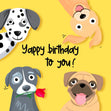 Yappy Birthday to you Confetti-exploding Greetings Card