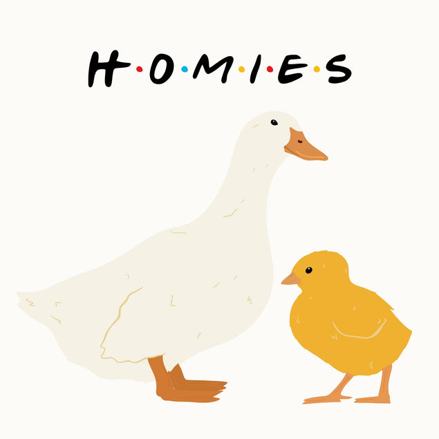 Homies Friends Confetti-exploding Greetings Card