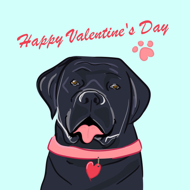 Black Labrador Happy Valentine's Day Confetti-exploding Greetings Card