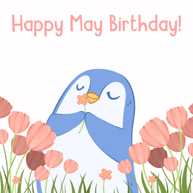 Little Penguin Happy May Birthday Confetti-exploding Greetings Card