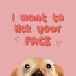 I Want To Lick Your Face Funny Labrador Confetti-exploding Greetings Card