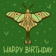 Butterfly On A Green Background Happy Birthday Confetti-exploding Greetings Card