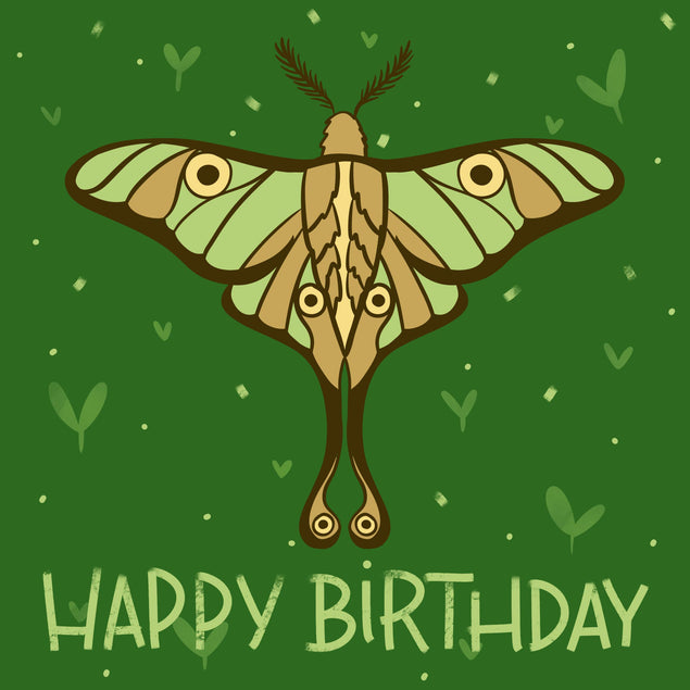 Butterfly On A Green Background Happy Birthday Confetti-exploding Greetings Card