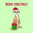 Merry Christmas Meerkat And A Gift Confetti-exploding Greetings Card