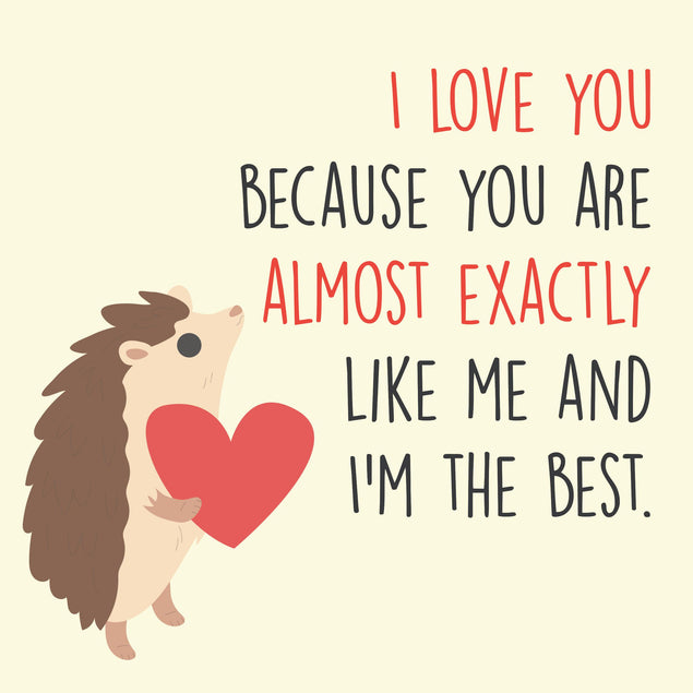 I Love You Because You Are Almost Exactly Like Me Cute Hedgehog Valentine's Day Confetti-exploding Greetings Card