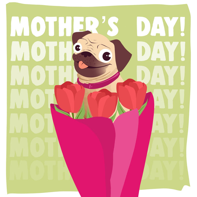 Funny Pug Sitting In A Tulip Bouquet Mother's Day Confetti-exploding Greetings Card