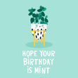 Cute Mint Plant Birthday Confetti-exploding Greetings Card