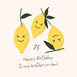 Simply Lemons Happy 25th Birthday Brother-in-law Confetti-exploding Greetings Card