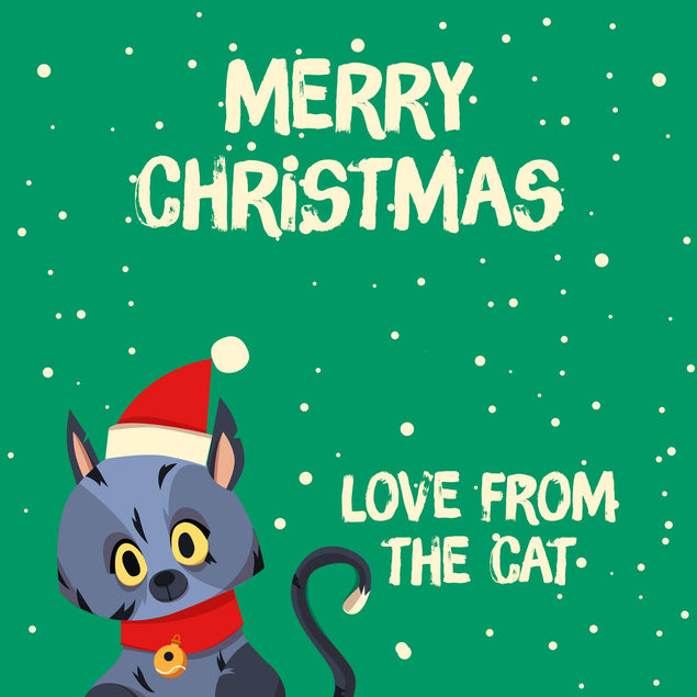 Merry Christmas From The Cat Christmas Confetti-exploding Greetings Card