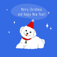 Merry Christmas And Happy New Year Cute White Cockapoo Confetti-exploding Greetings Card