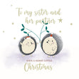 Merry Christmas Sister And Her Partner Cute Hedgehog Couple Confetti-exploding Greetings Card
