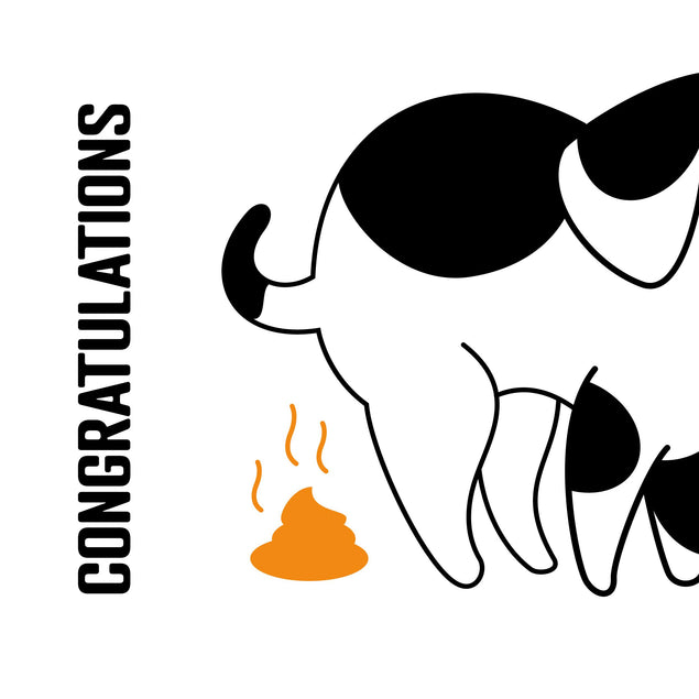 Congratulations Dog Poop Confettiexploding Greetings Card Boomf