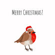 Merry Christmas A Cute Robin Wearing A Hat Confetti-exploding Greetings Card