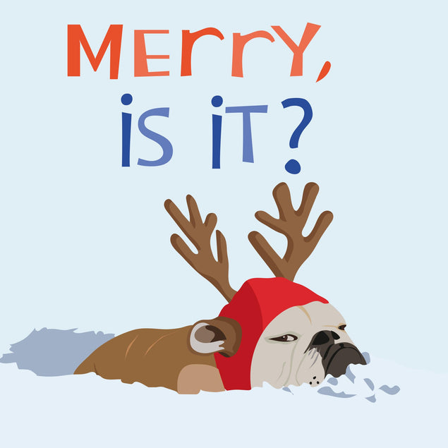 Merry Is it Dressed Up Dog Christmas Confetti-exploding Greetings Card