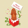 Merry Christmas Cocker Spaniel In A Gift Box Confetti-exploding Greetings Card