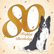 Happy 80th Birthday Cute Border Collie Confetti-exploding Greetings Card