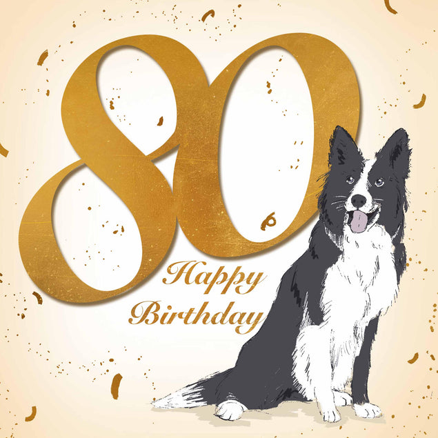 Happy 80th Birthday Cute Border Collie Confetti-exploding Greetings Card