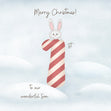 Merry First Christmas To Our Wonderful Son Cute Bunny Confetti-exploding Greetings Card