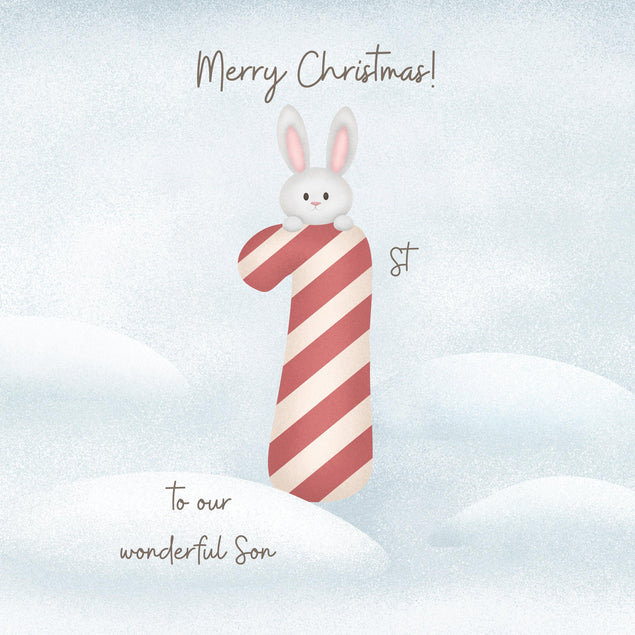 Merry First Christmas To Our Wonderful Son Cute Bunny Confetti-exploding Greetings Card